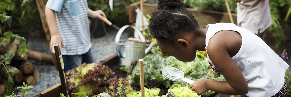 Child holding a magnifying glass in an outdoor planter garden