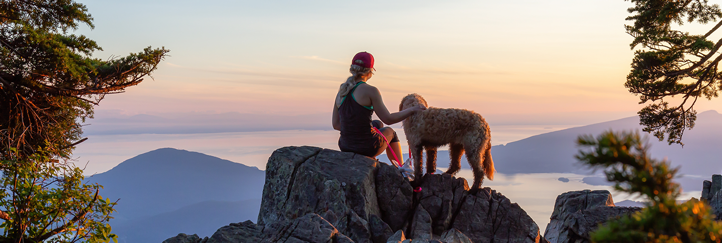 Hiker overlooking mountain scene with dog