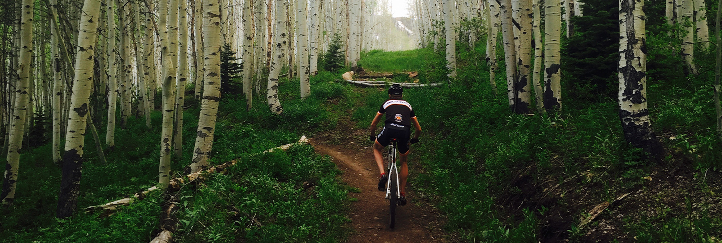 Mountain biker on trail through Aspen trees