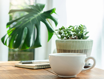 Coffee cup with plant and notebook