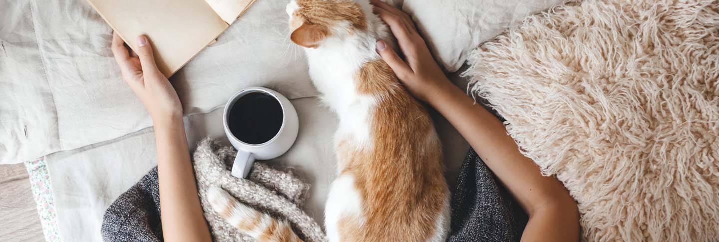 Cat sitting on bed with coffee mug