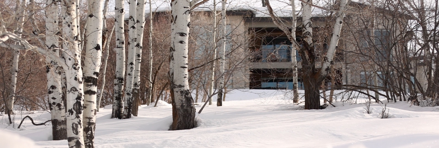 Energy Efficient Tips for Winter | Shoreline Park City, Utah