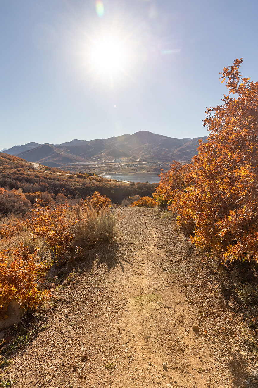 Shoreline Park City Utah Community