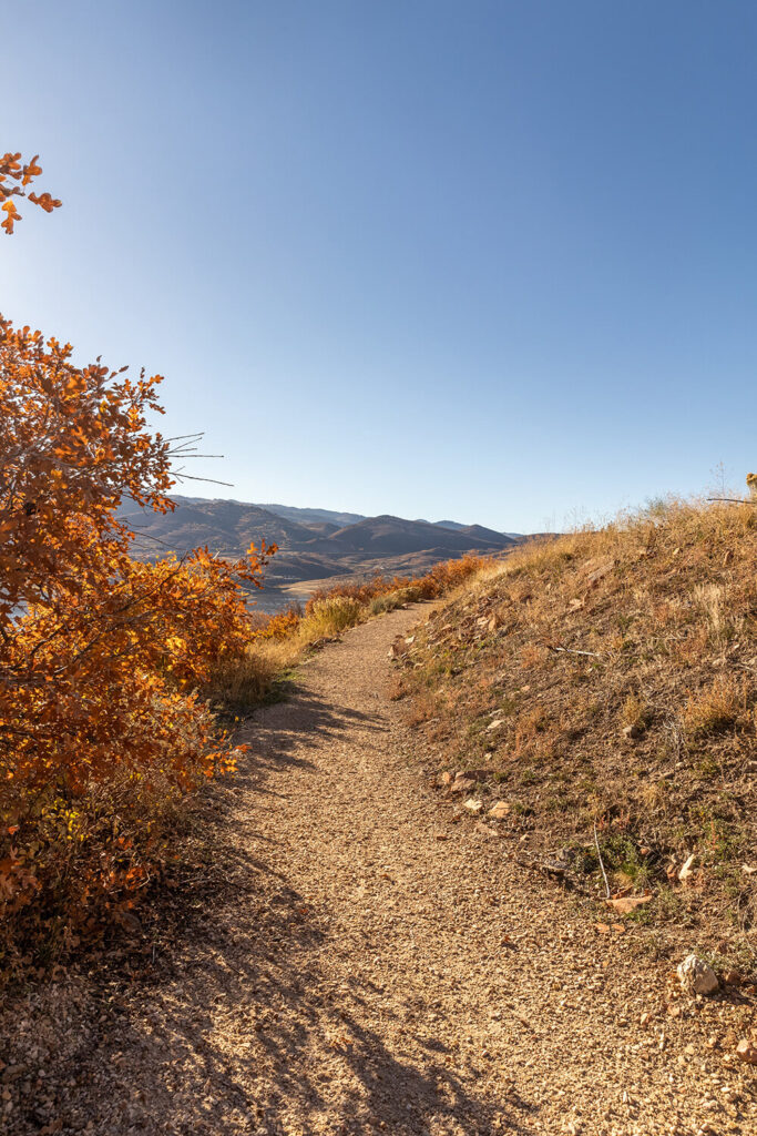 Shoreline Park City Utah Community