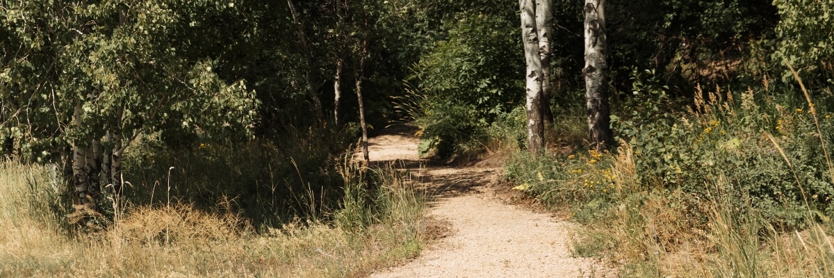 Hike, Bike, and Trail Run in Park City