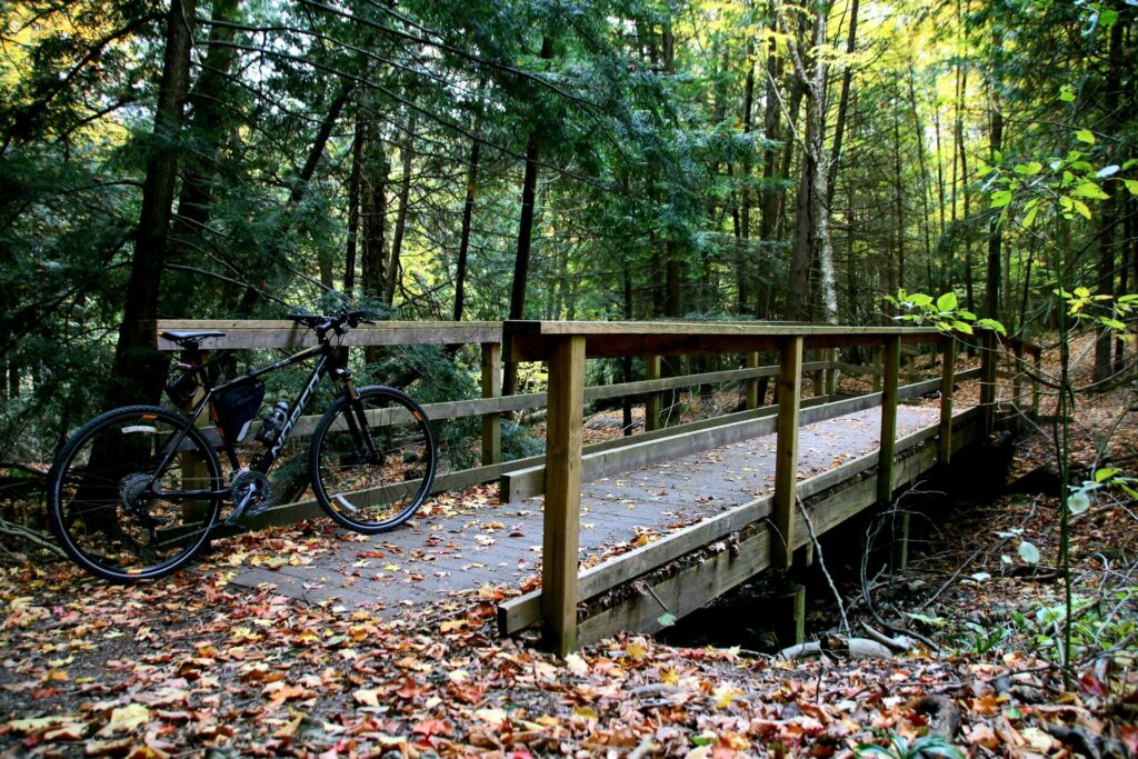 Rail trail with fall leaves during the shoulder seasons